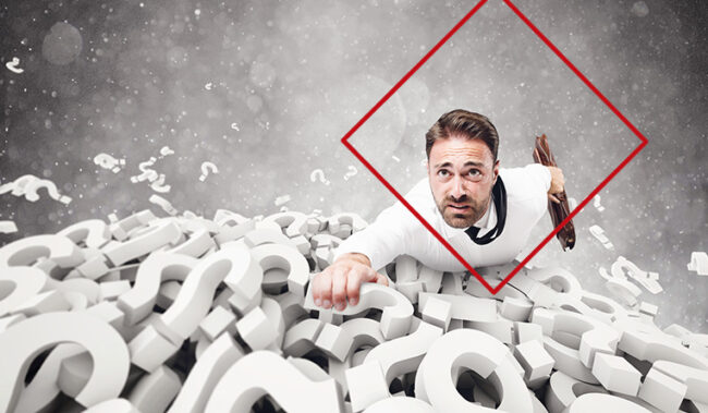 management de transition